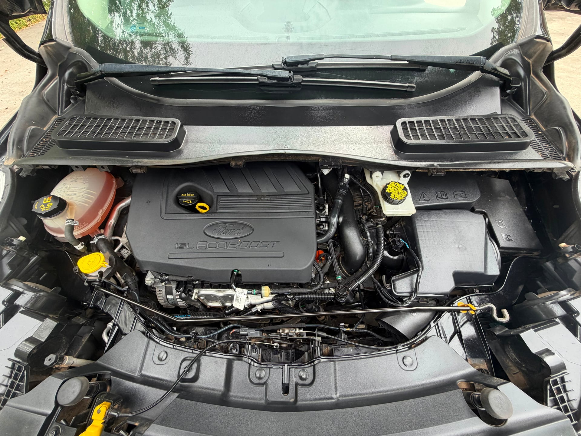 Ford Escape