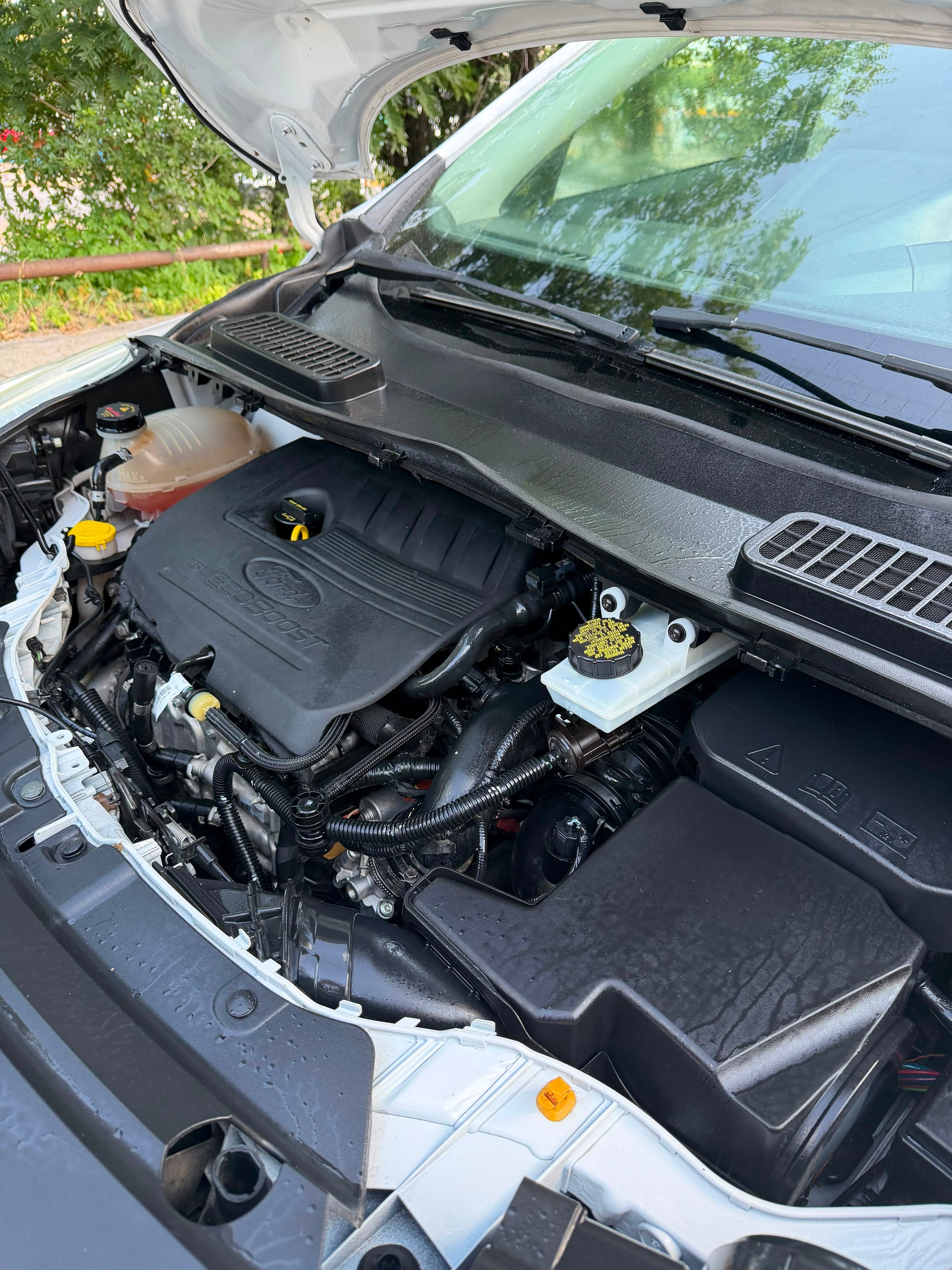 Ford Escape SEL