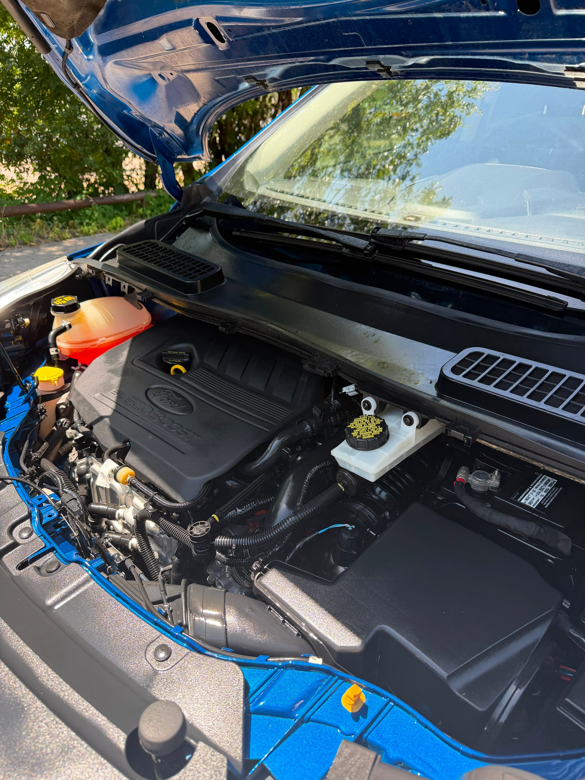 Ford Escape SEL
